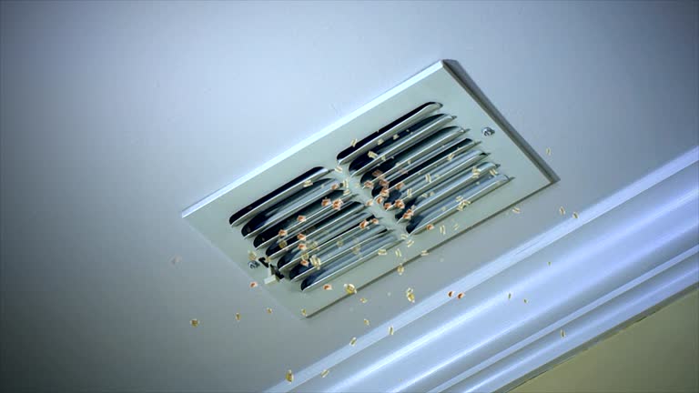 Best Best Air Duct Cleaning Company  in Midfield, AL